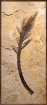 Fossil Palm Flower Mural 0100cm(Sold)