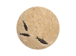 16&quot; Round Fossil Drink Table 9304t