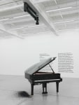Installation by Liam Gillick, Factories In The Snow (Il Tempo Del Postino) 2007 Yamaha digital piano, midi file, snow machine, artificial black snow Dimensions variable 7:24 min