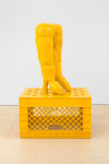 TSCHABALALA SELF

Yellow Legs on Yellow Milk Crate

2017 - 2021

Sculpture: house paint on plaster cast

Pedestal: Laser cut MDF, and automotive paint

Object 105.5 x 51 x 34.5 cm / 41 1/2 x 20 x 13 1/2 in

Pedestal 61 x 101.5 x 73.5 cm / 24 x 40 x 29 in

SELF 47723