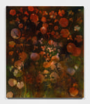 BOLINAS NASTURTIUMS
2020
Pigment on canvas
72.5 x 61.5 x 3 cm / 28 1/2 x 24 1/4 x 1 1/8 inches
