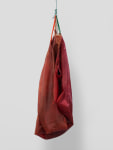 Den 1

2024

Latex, rope, jute, silicone oil

228 x 92 x 65 cm / 89 3/4 x 36 1/4 x 25 5/8 in

&amp;copy; Liesl Raff
