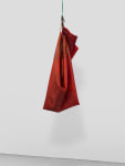 Den 2

2024

Latex, rope, jute, silicone oil

225 x 83 x 82 cm / 88 5/8 x 32 5/8 x 32 1/4 in

&amp;copy; Liesl Raff