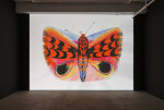 Allison Schulnik
Moth, 2019
gouache-on-paper animated video with
1540 gouaches-on-paper
3 minutes, 15 seconds video with sound
1540 gouaches on animation paper, 9&amp;frac12;&amp;quot; &amp;times; 12&amp;frac12;&amp;quot; (27 cm &amp;times; 32 cm) each