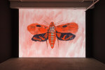 Allison Schulnik
Moth, 2019
gouache-on-paper animated video with
1540 gouaches-on-paper
3 minutes, 15 seconds video with sound
1540 gouaches on animation paper, 9&amp;frac12;&amp;quot; &amp;times; 12&amp;frac12;&amp;quot; (27 cm &amp;times; 32 cm) each