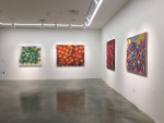 Untitled, c.1970

acrylic on canvas

47&amp;quot; x 54&amp;quot;

Installation View