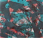 Salmon, 1973

etching and aquatint

25&amp;quot; x 35&amp;quot;

ed. 45