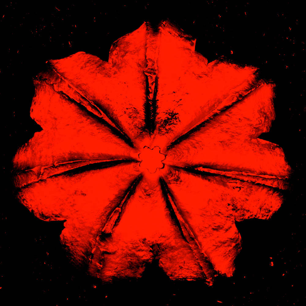 Rubem Robierb (1976), Power Flower N-4 (Red on Black), 2016