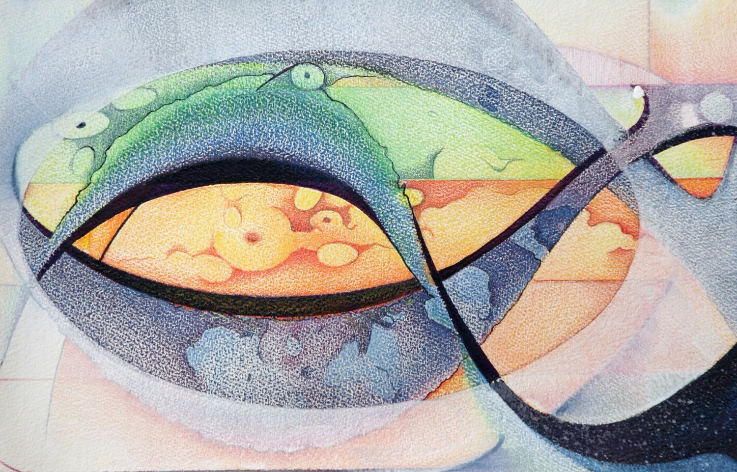 Rebecca Alston Oval Line: Life Forms and Habitats, 2007-08