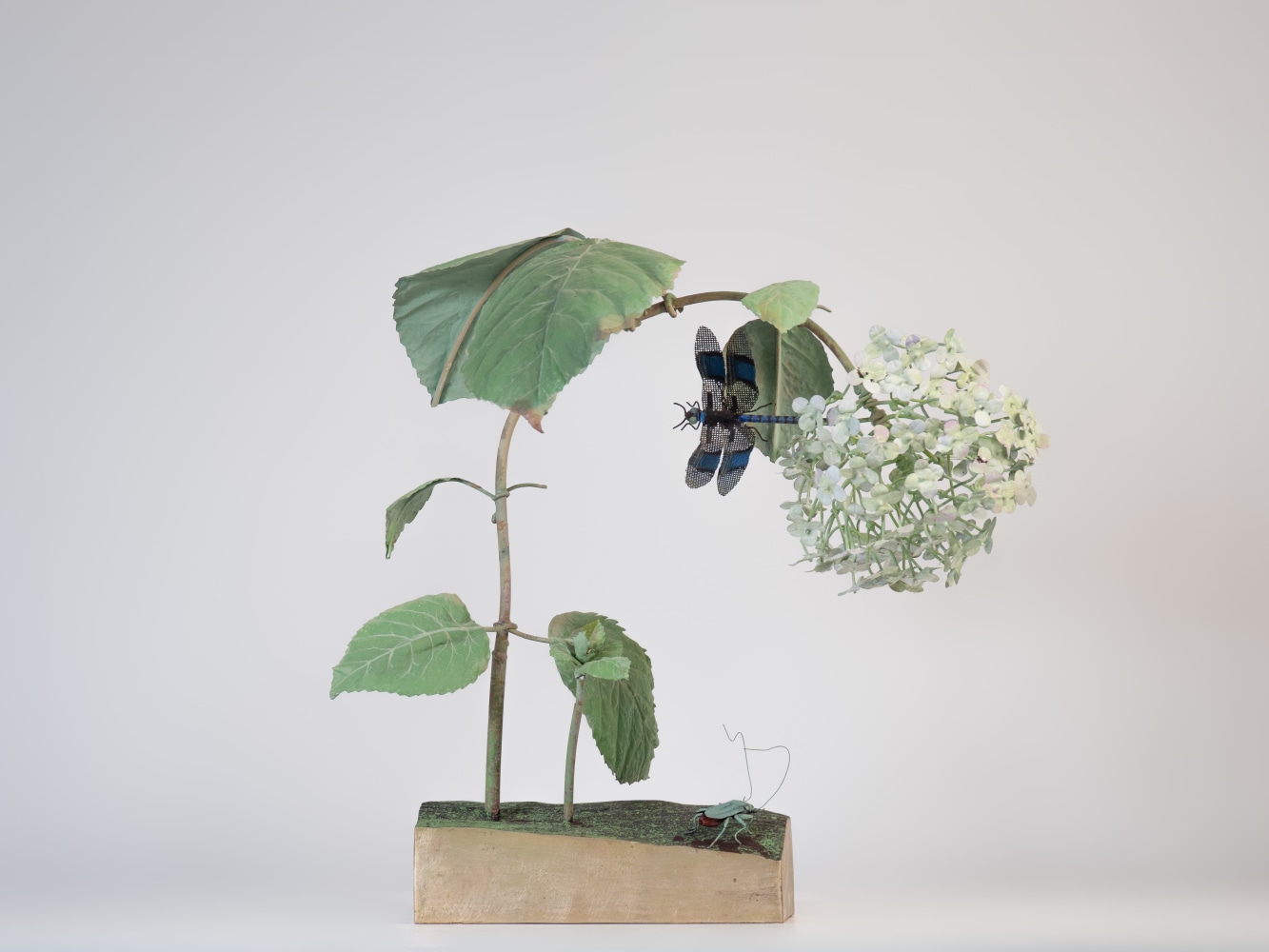 Carmen Almon, Hortensia with Blue-Black Dragonfly, 2023