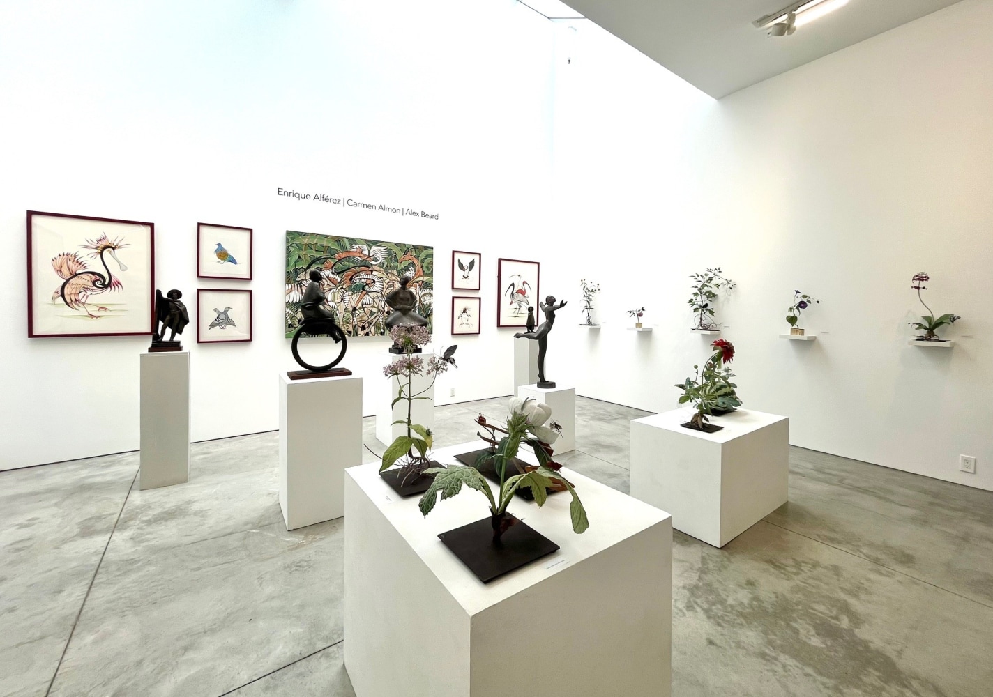 Installation view