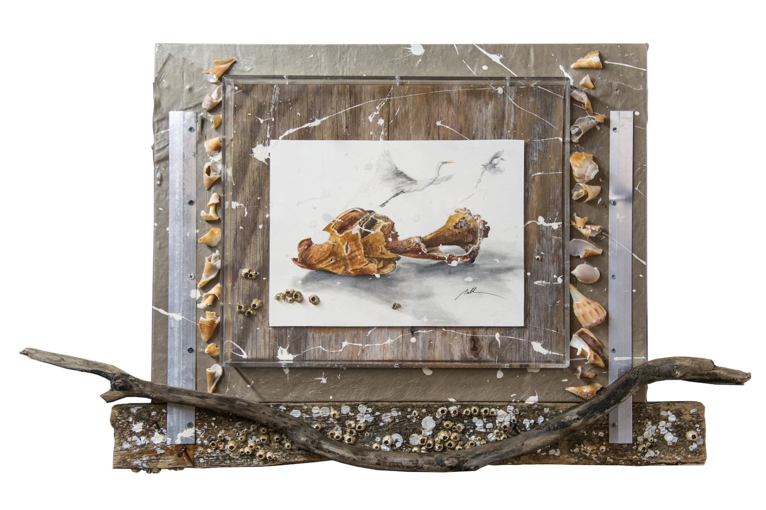 Nall Egrets and Conche Shell, 2015