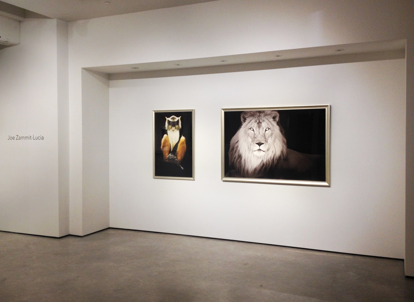 Installation view