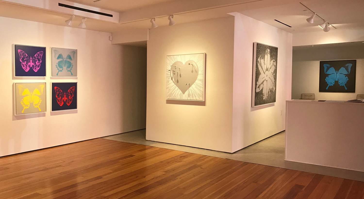 Installation view