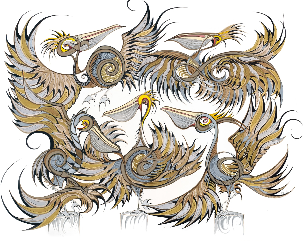 Alex Beard Pelicanformes, 2023