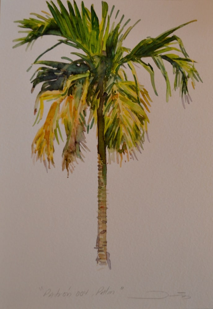 Patrón 004, Palm