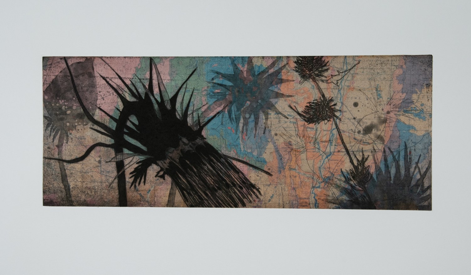 Suzi Davidoff, New Mexico Geology / Sacramento Mountain Thistle, 2018