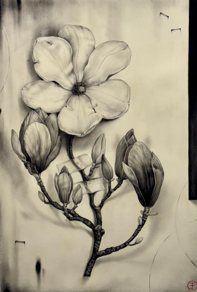 Emily Farish Chinese Magnolia No. 289, 2025