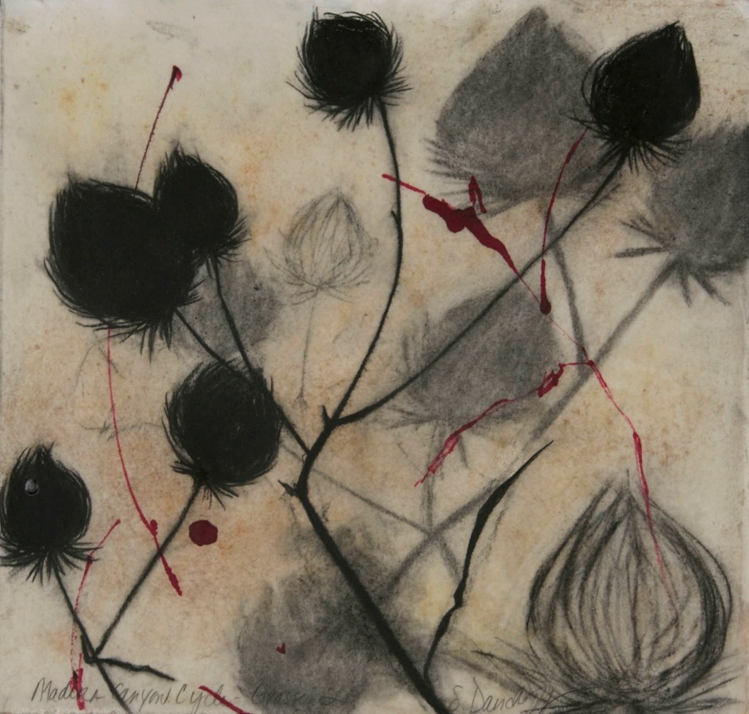 Madera Canyon Cycle - Grasses 2,