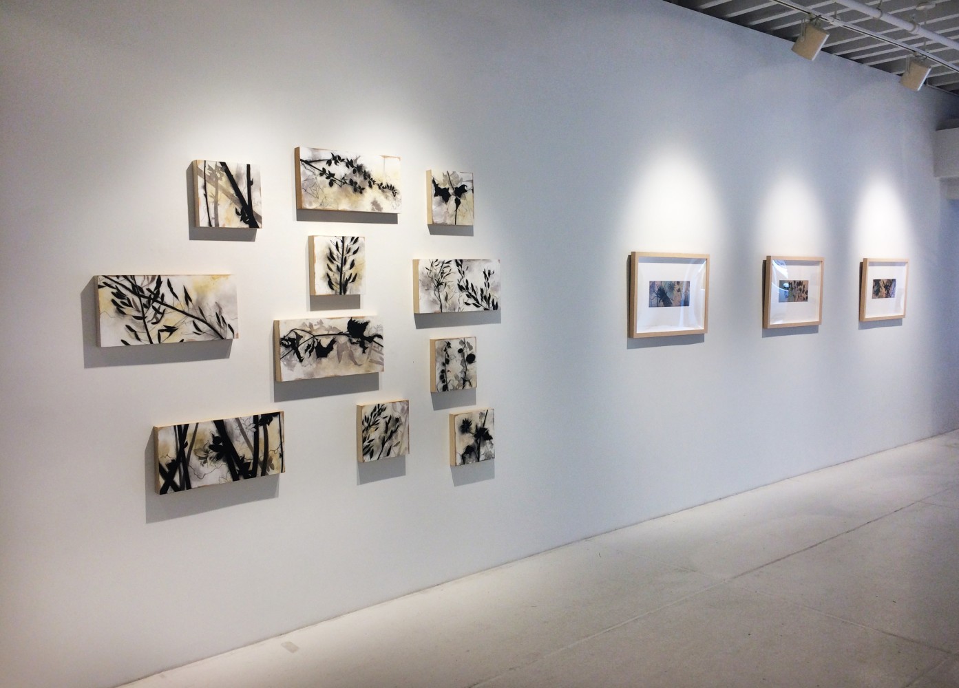 Suzi Davidoff: Field Notes