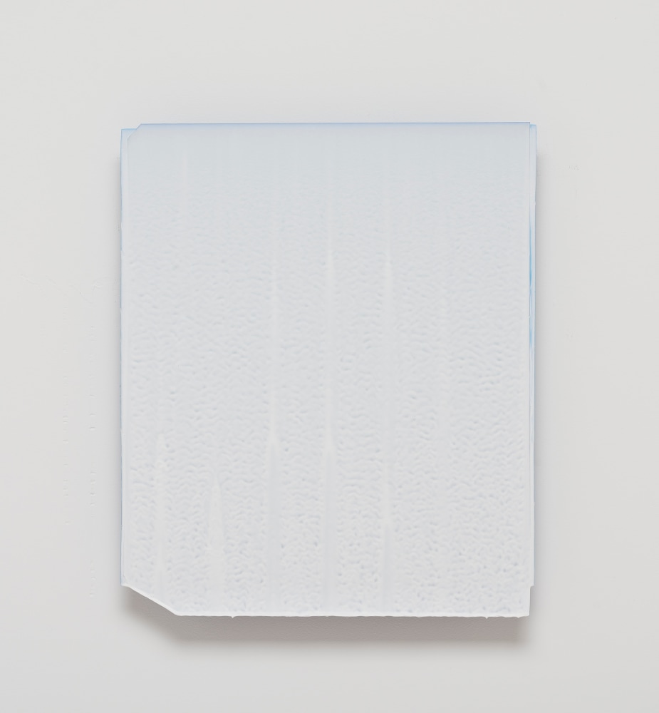 Joseph Cohen Proposition 458, 2015