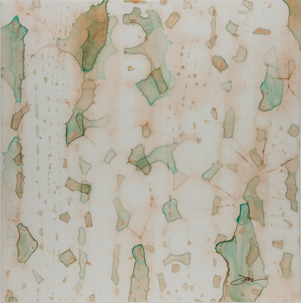 Julie Robinson Safe Harbor, 2015