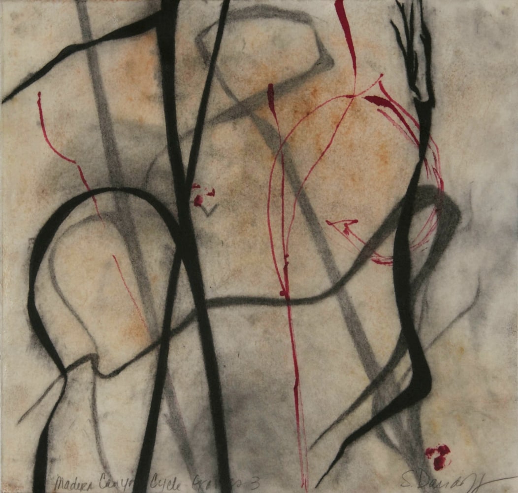 Madera Canyon Cycle - Grasses 3