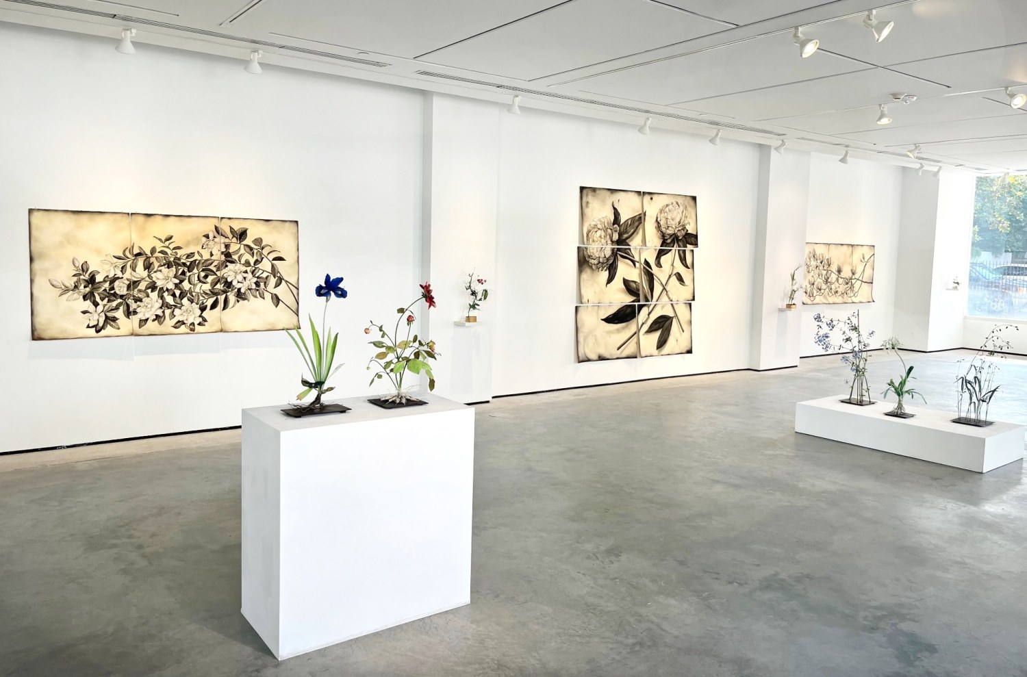 Installation view