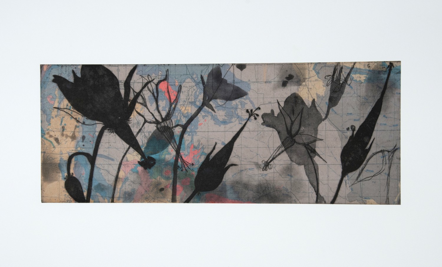 Suzi Davidoff, New Mexico Geology / Shooting Star Geranium, 2018