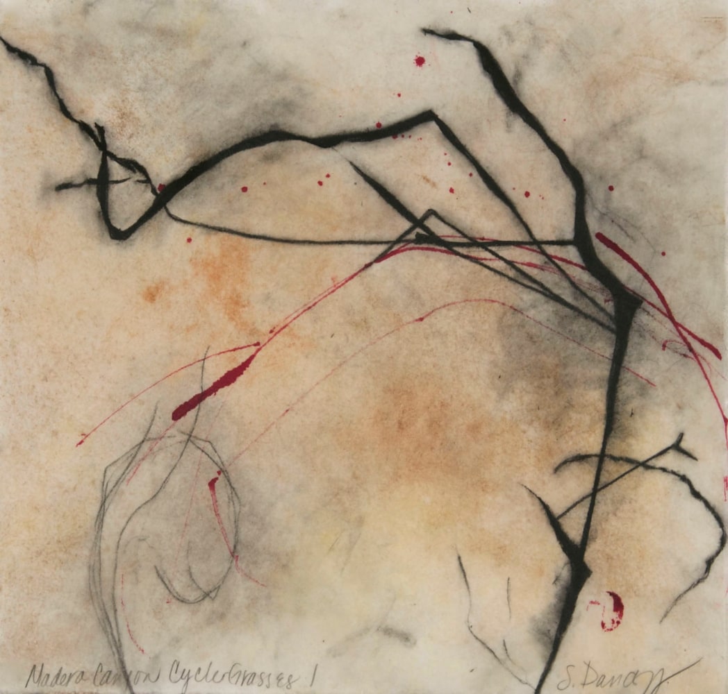 Madera Canyon Cycle - Grasses 1