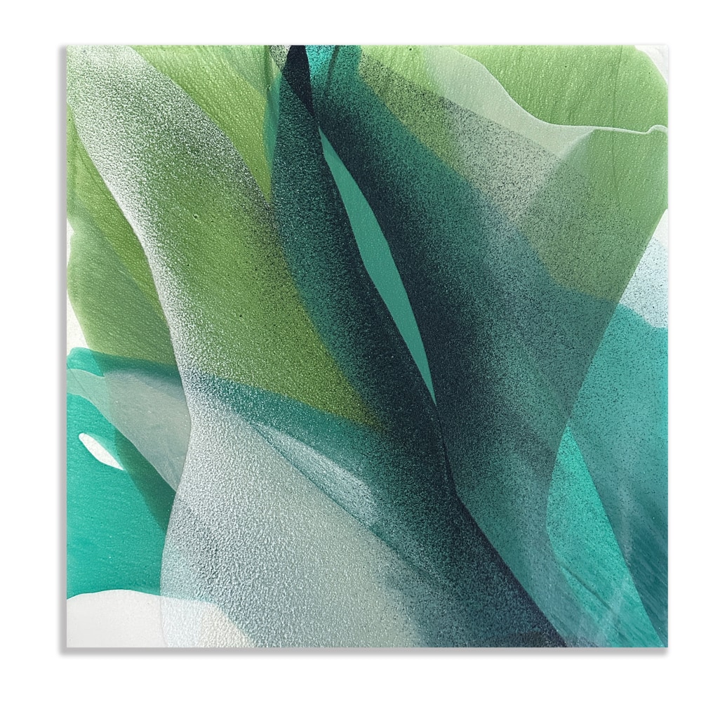 Marina Savashynskaya Dunbar, Magnolia IX, 2025