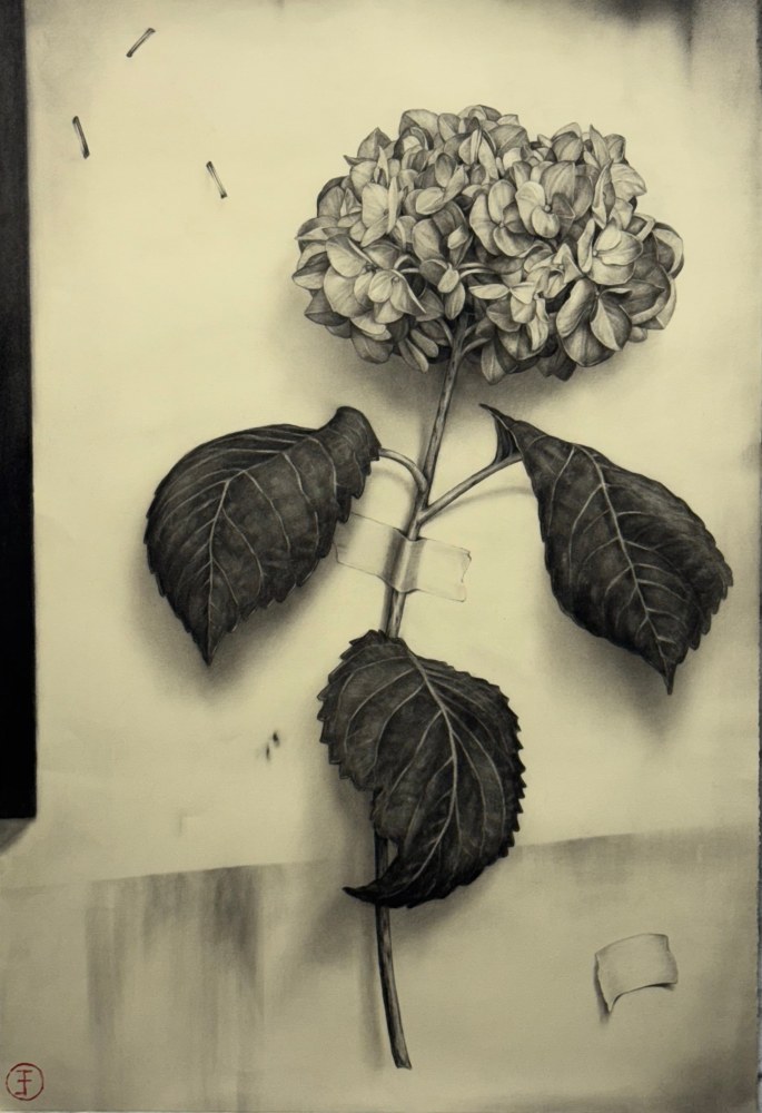 Emily Farish, Hydrangea No. 30, 2025