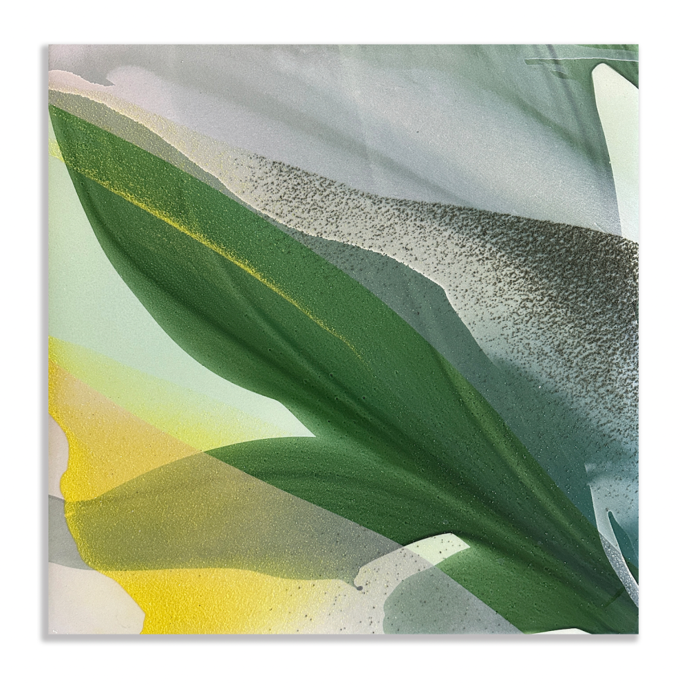 Marina Savashynskaya Dunbar, Magnolia X, 2025