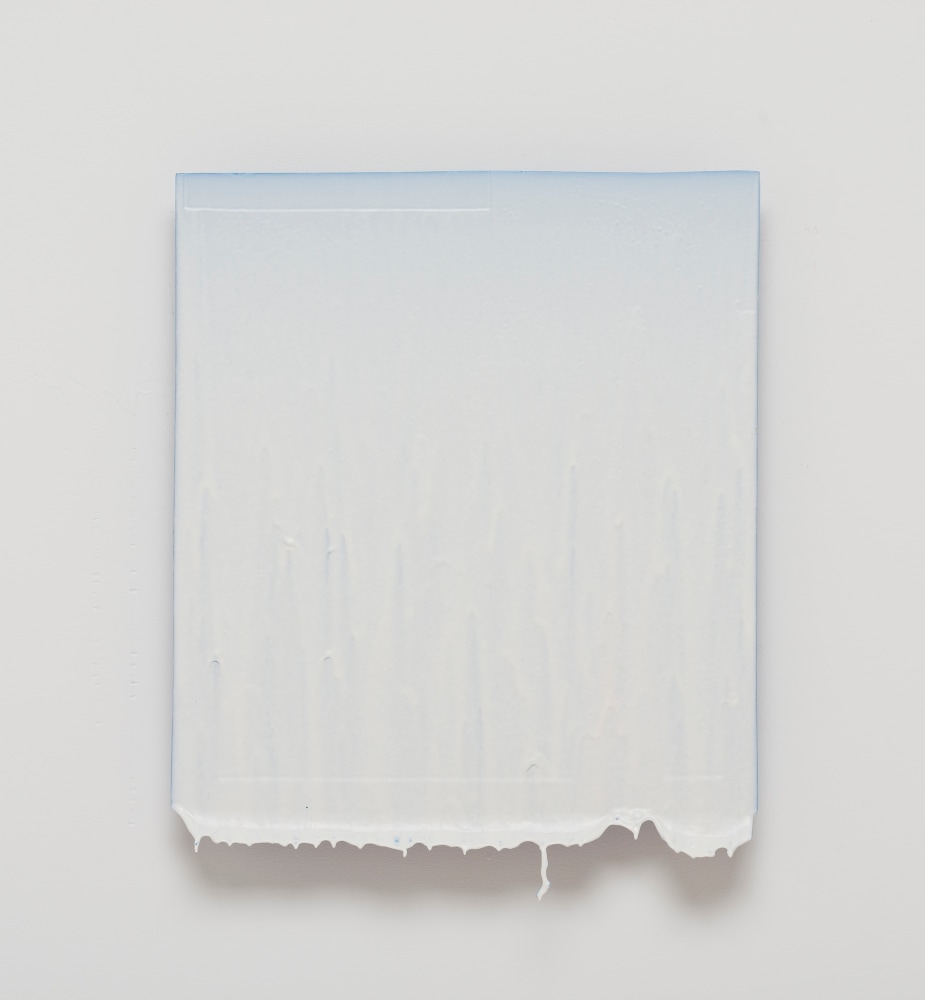 Joseph Cohen Proposition 452, 2015