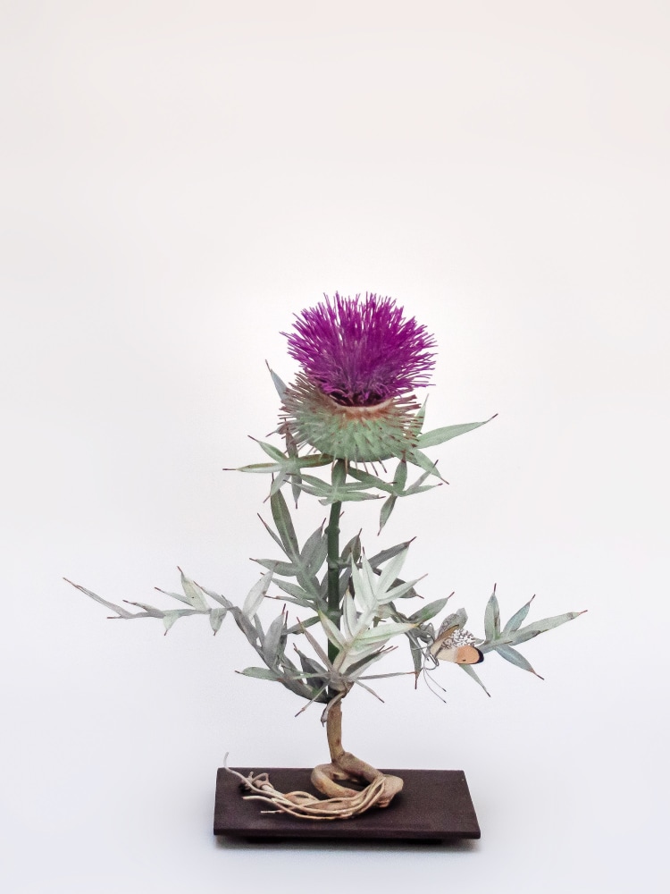 Carmen Almon, Chardon with Falcate Orangetip, 2021