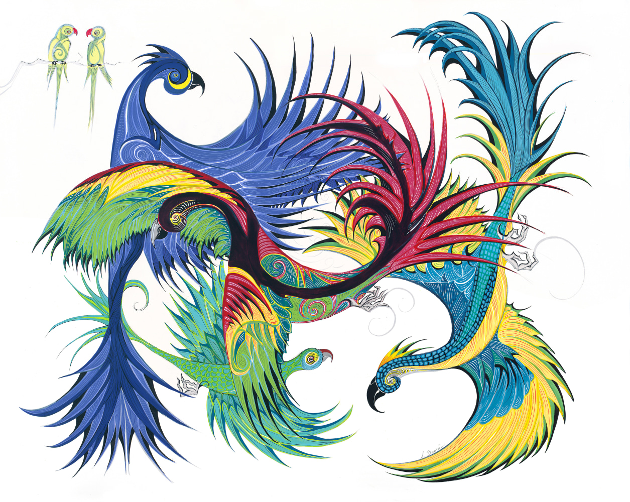 Alex Beard, Psittaciformes (Parrots), 2023