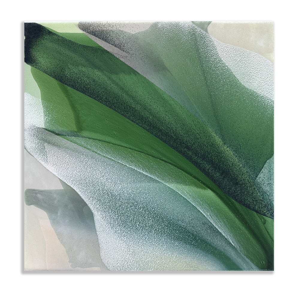 Marina Savashynskaya Dunbar, Magnolia XI, 2025