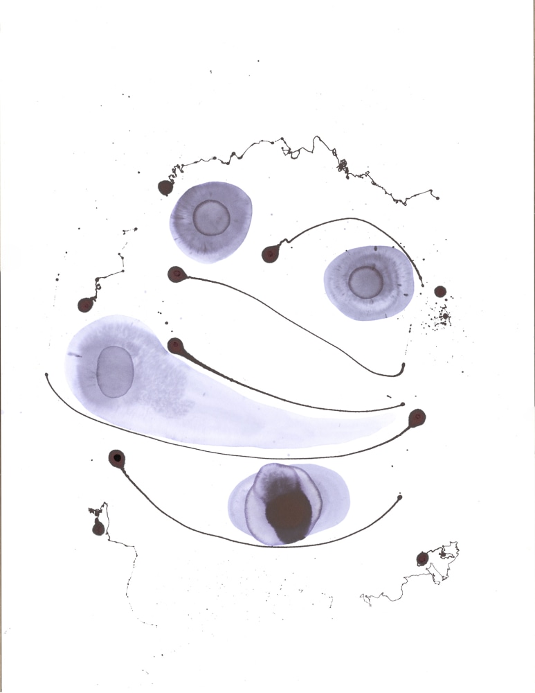 Aaron Bielish&nbsp;, EYEmusic XIII (Insula Dulcamara - Catullus),&nbsp;2019