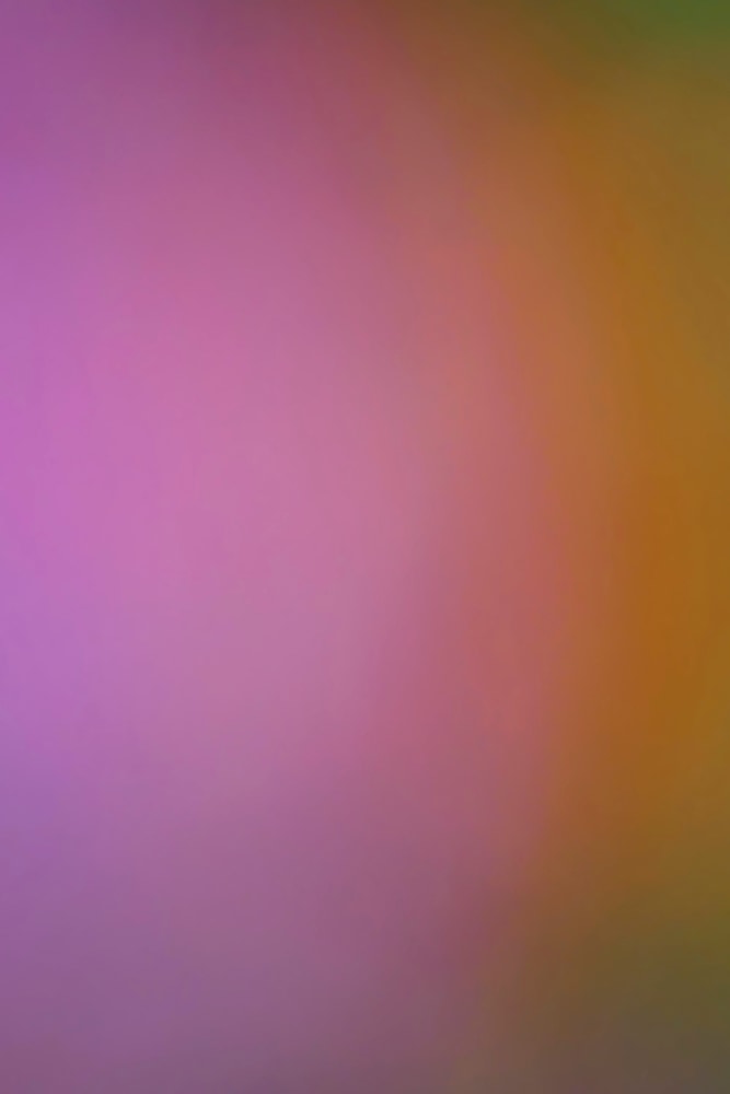 Kathryn Rabinow, Color Field I,&nbsp;2021