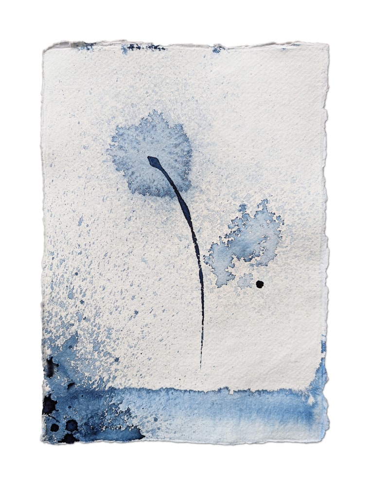 Gustavo Bonevardi, Untitled Botanical, 2022