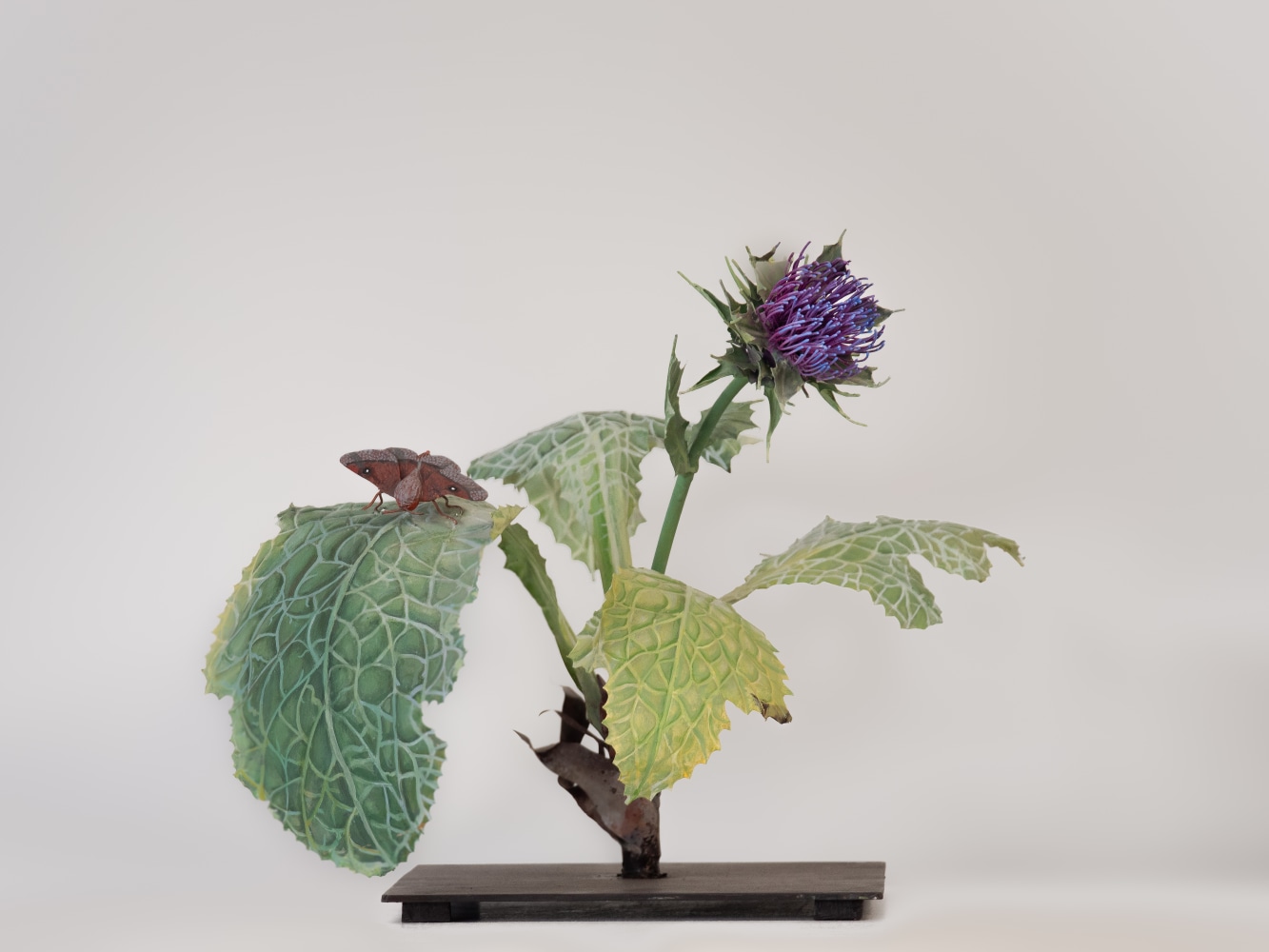 Carmen Almon, Chardon Marie with Anisota Moth, 2023