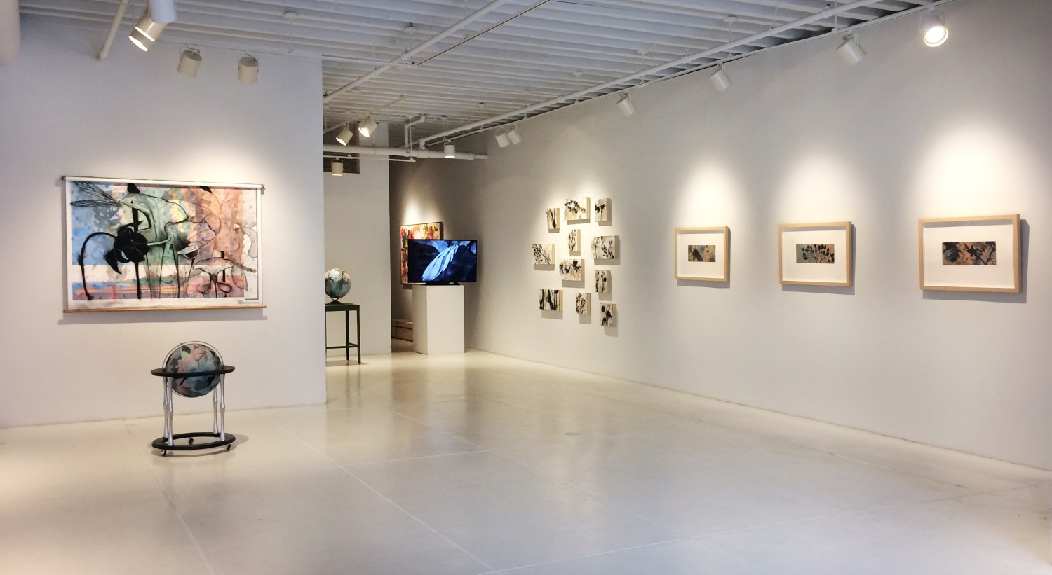 Suzi Davidoff: Field Notes