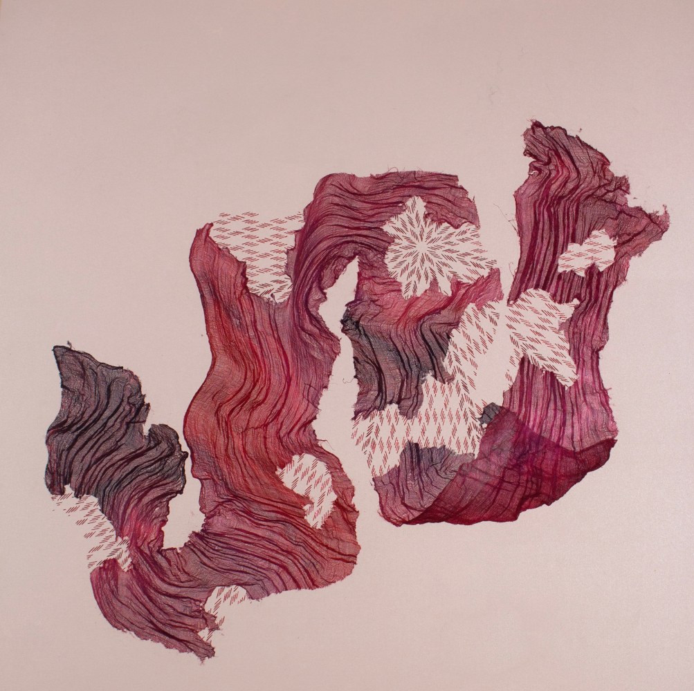 Scott Andresen Hundreds of Hidden Birds, 2023
