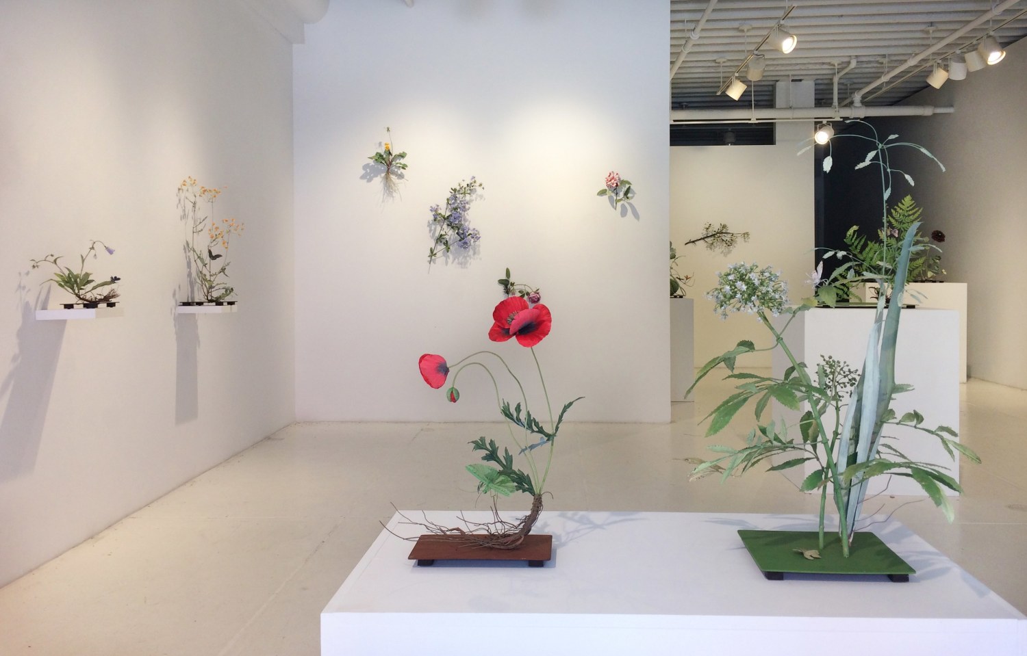 Installation view