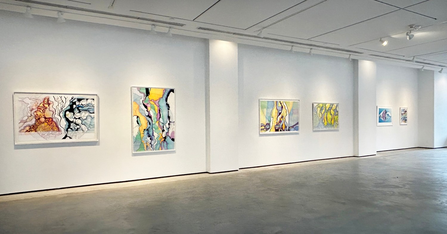 Installation view
