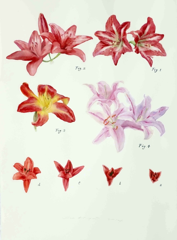 Guo Hongwei, Plant No. 15