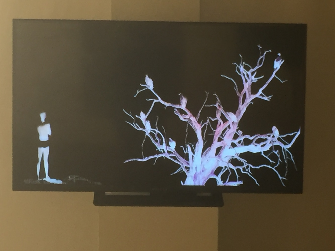 Naomie Kremer, Lookout, 2015