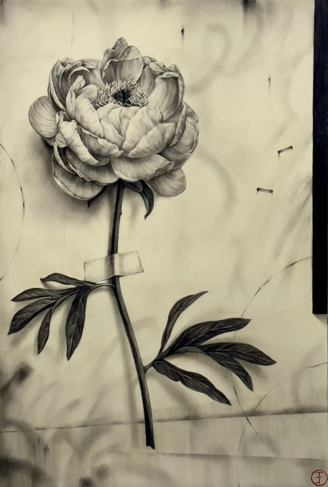 Emily Farish Peony No. 88, 2025
