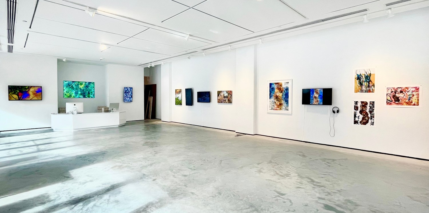 Installation view