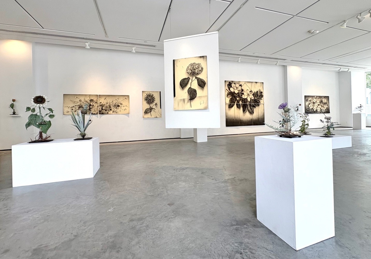 Installation view